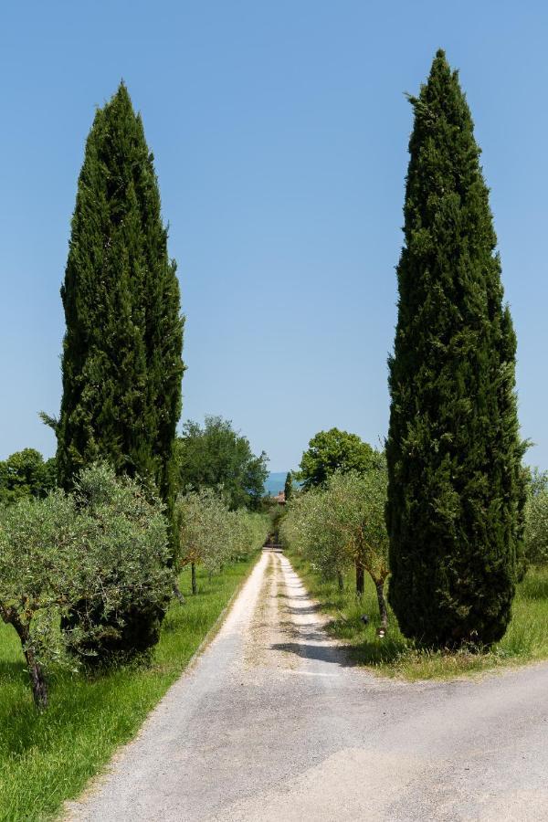 Villa Il Rossignolo Грассина Экстерьер фото